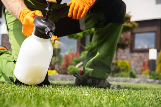 Best Residential Pest Control  in Ore City, TX