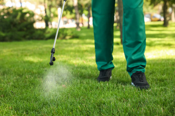 Best Best Pest Control Companies  in Ore City, TX