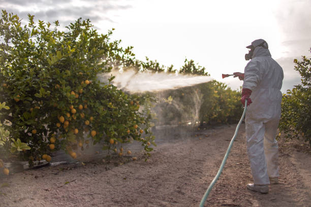 Wildlife Control Services in Ore City, TX