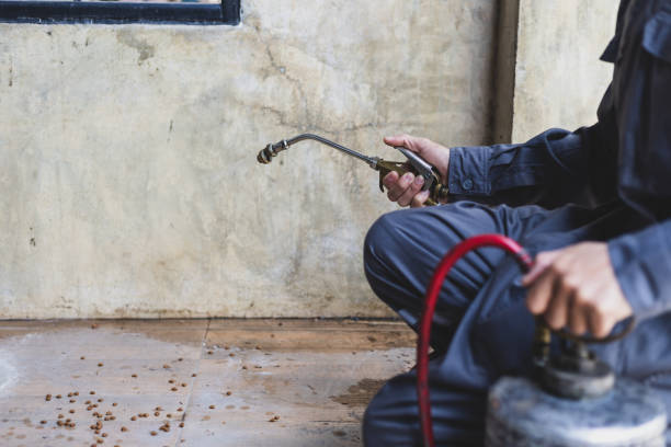 Wasp Removal Services in Ore City, TX