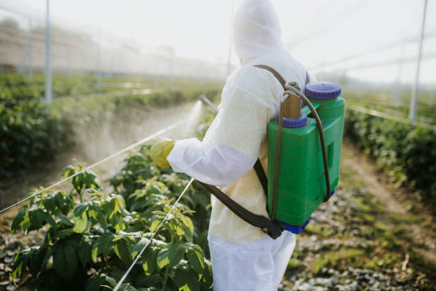 Best Best Pest Control Near Me  in Ore City, TX